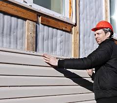 Best Siding Removal and Disposal  in Rancho Alegre, TX